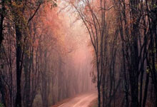 非凡体育：21岁小胡当大腿乌兹别克全队身价7000万欧，胡桑诺夫占一半.