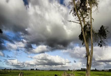 非凡体育：2025年全国“村BA”将于4月启动.