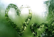 非凡体育：2025年“我要上全运”群众羽毛球吉林省选拔赛圆满落幕.